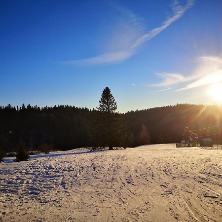 Chalet A L'Oree Du Bois Le Tholy Eksteriør billede
