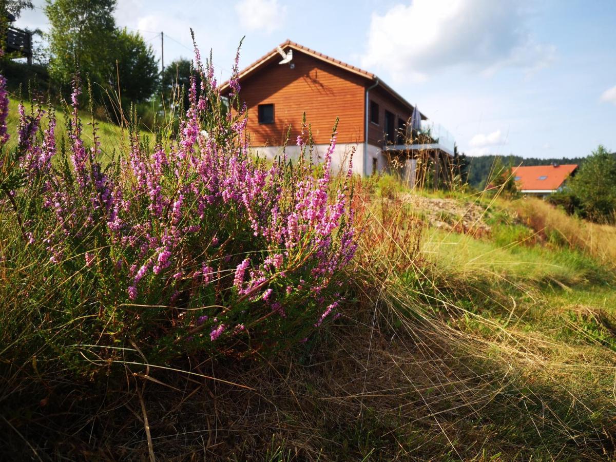 Chalet A L'Oree Du Bois Le Tholy Eksteriør billede